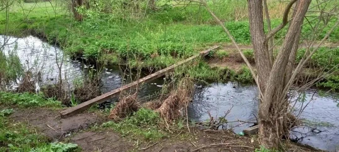 Жители Спирово ходили по гнилым доскам вместо мостов Фото: прокуратура Тверской области