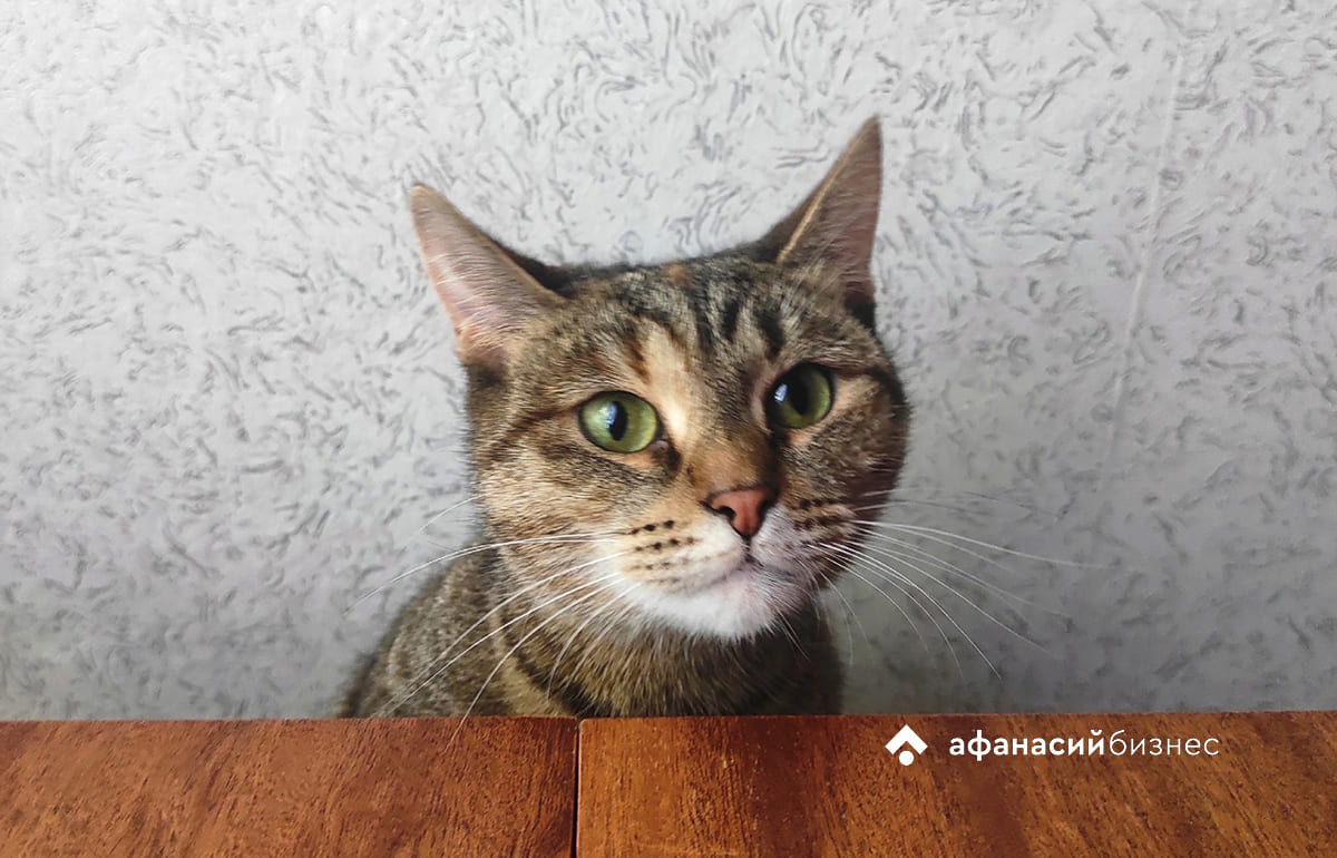 Южный ветер принесет в Тверь потепление 