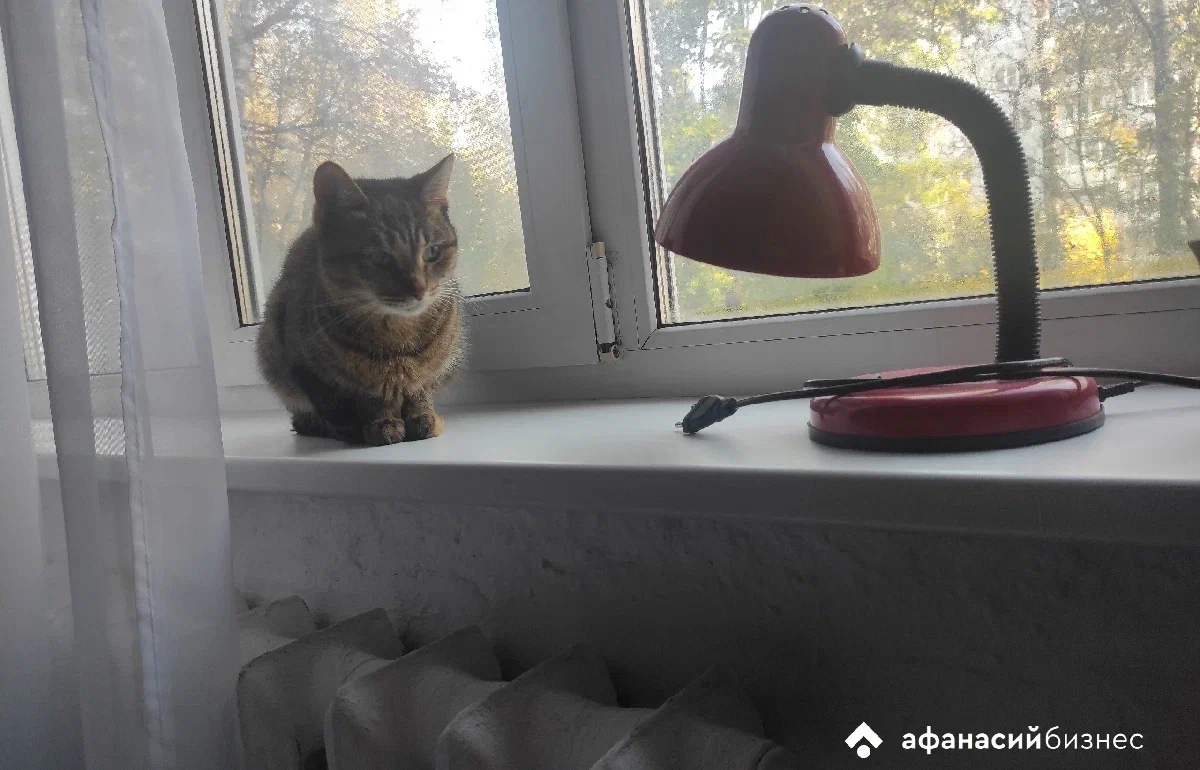 Названа дата начала отопительного сезона в Ржевском округе Фото: архив редакции