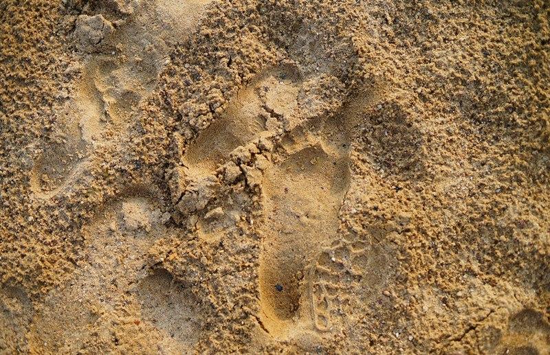Соленость Азовского моря достигла исторического максимума