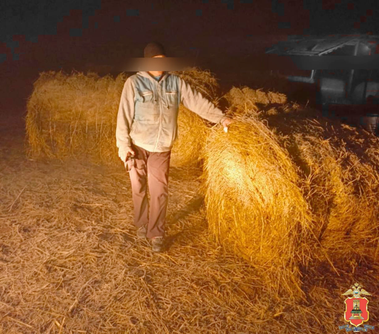 Под Старицей нашли 46 рулонов украденного сена Фото: УМВД России по Тверской области