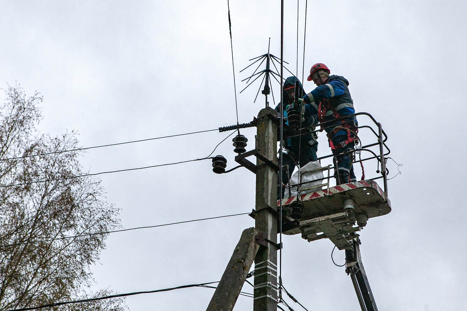 Тверские энергетики установили птицезащитные устройства на ЛЭП - новости Афанасий