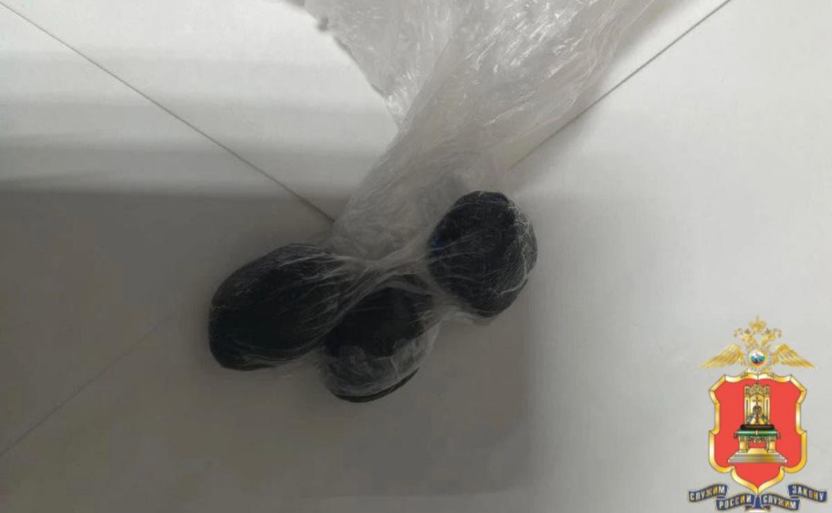 В Тверской области женщина прятала наркотики в нижнем белье Фото: УМВД Тверской области