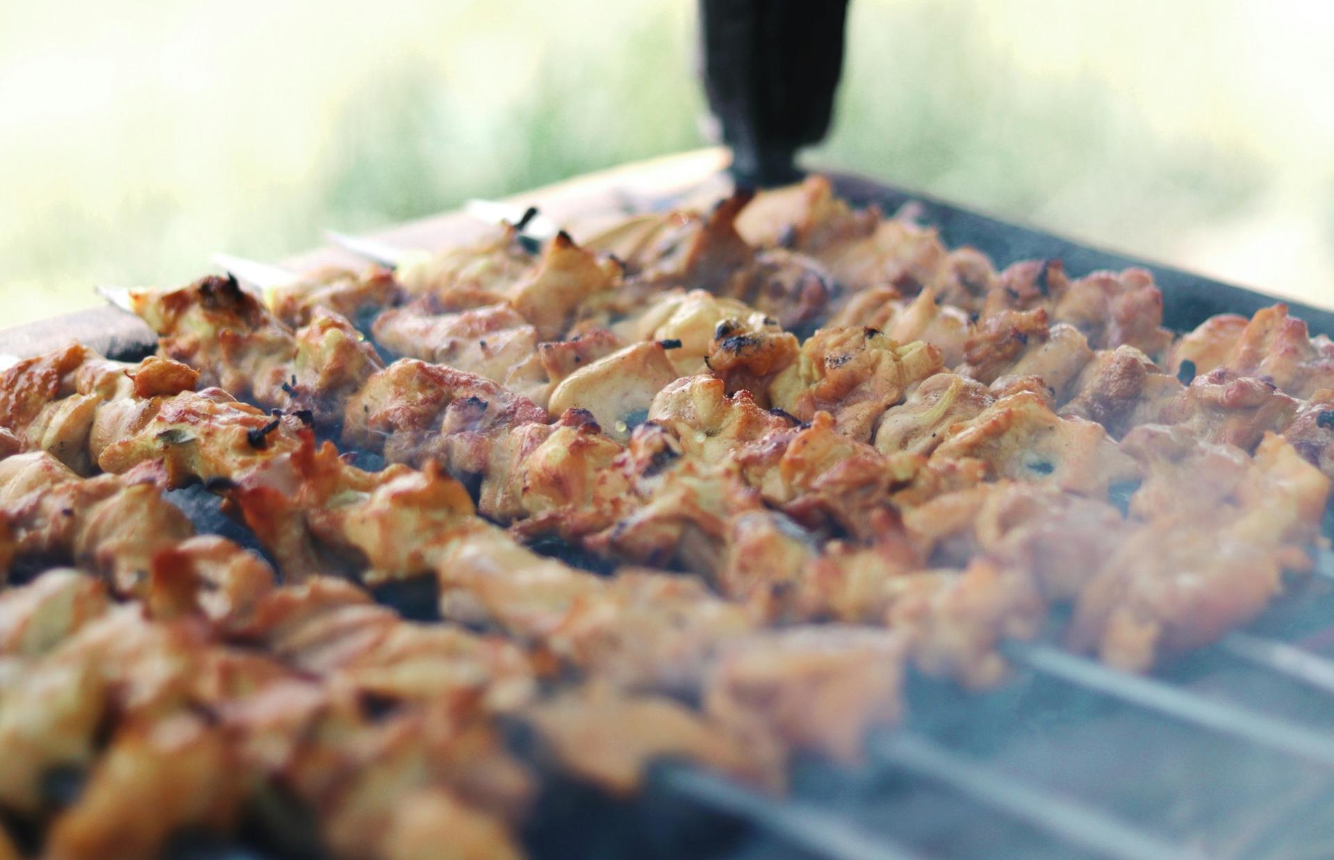 Подсчитана стоимость шашлыка в Тверской области - новости Афанасий