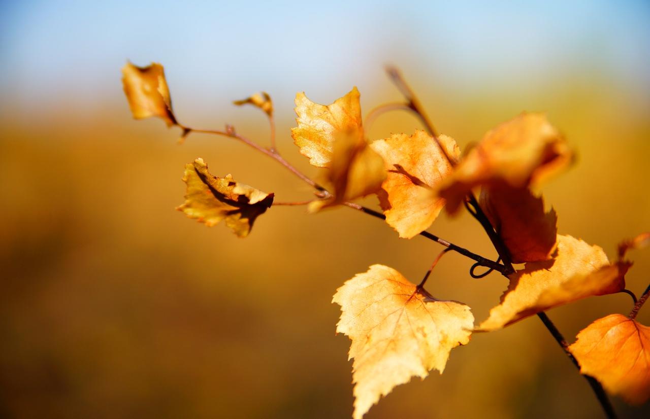 На Земле бушует самая сильная за три месяца магнитная буря