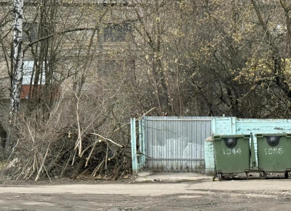 Жителям Тверской области напомнили, что нельзя кидать в мусорные контейнеры Фото: ТСАХ