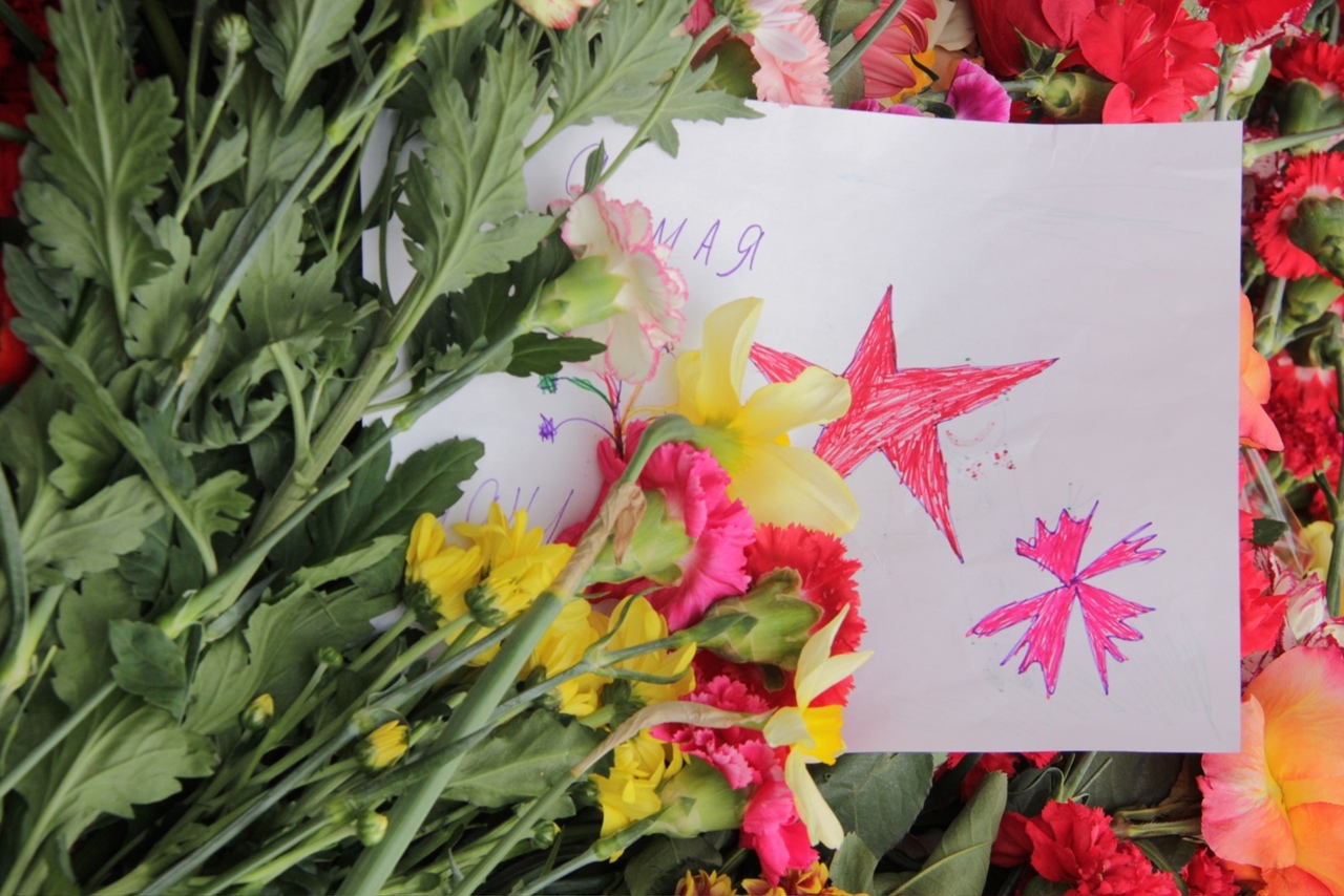 В Тверской области региональные выплаты ко Дню Победы получат 41 695 человек Фото: архив редакции