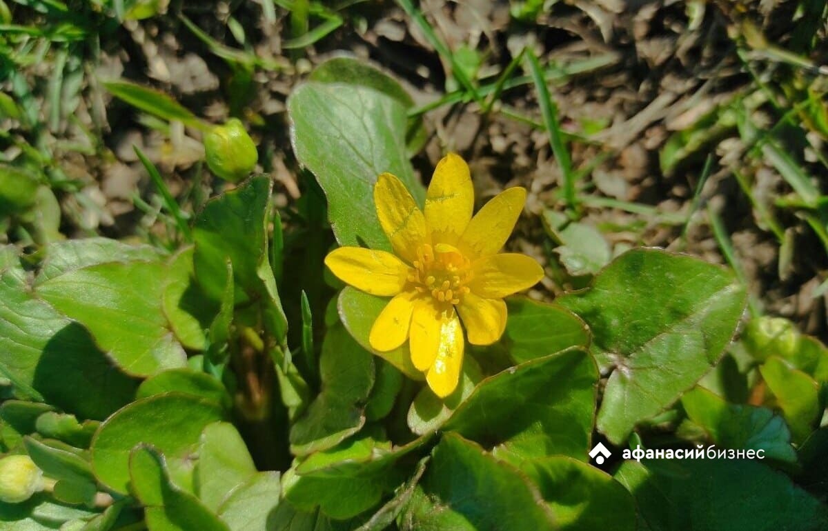 В Твери установлен новый температурный рекорд