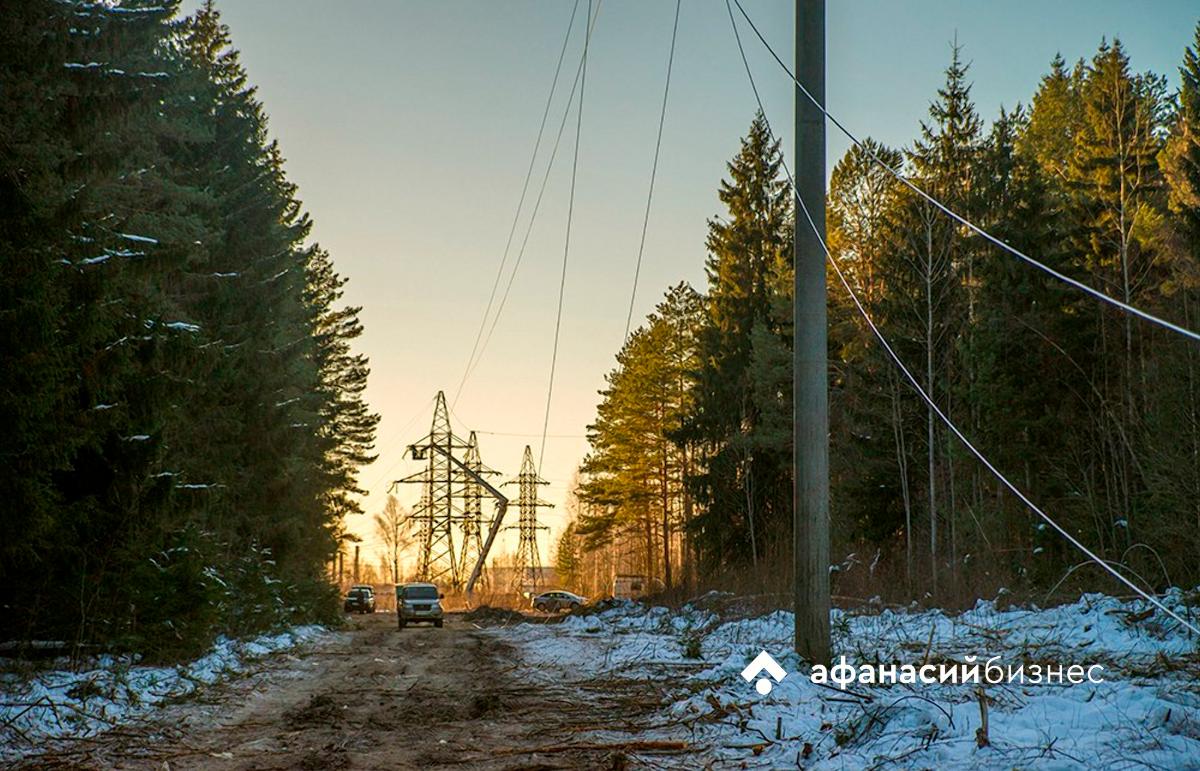 В Тверской области поймали двух браконьеров - новости Афанасий