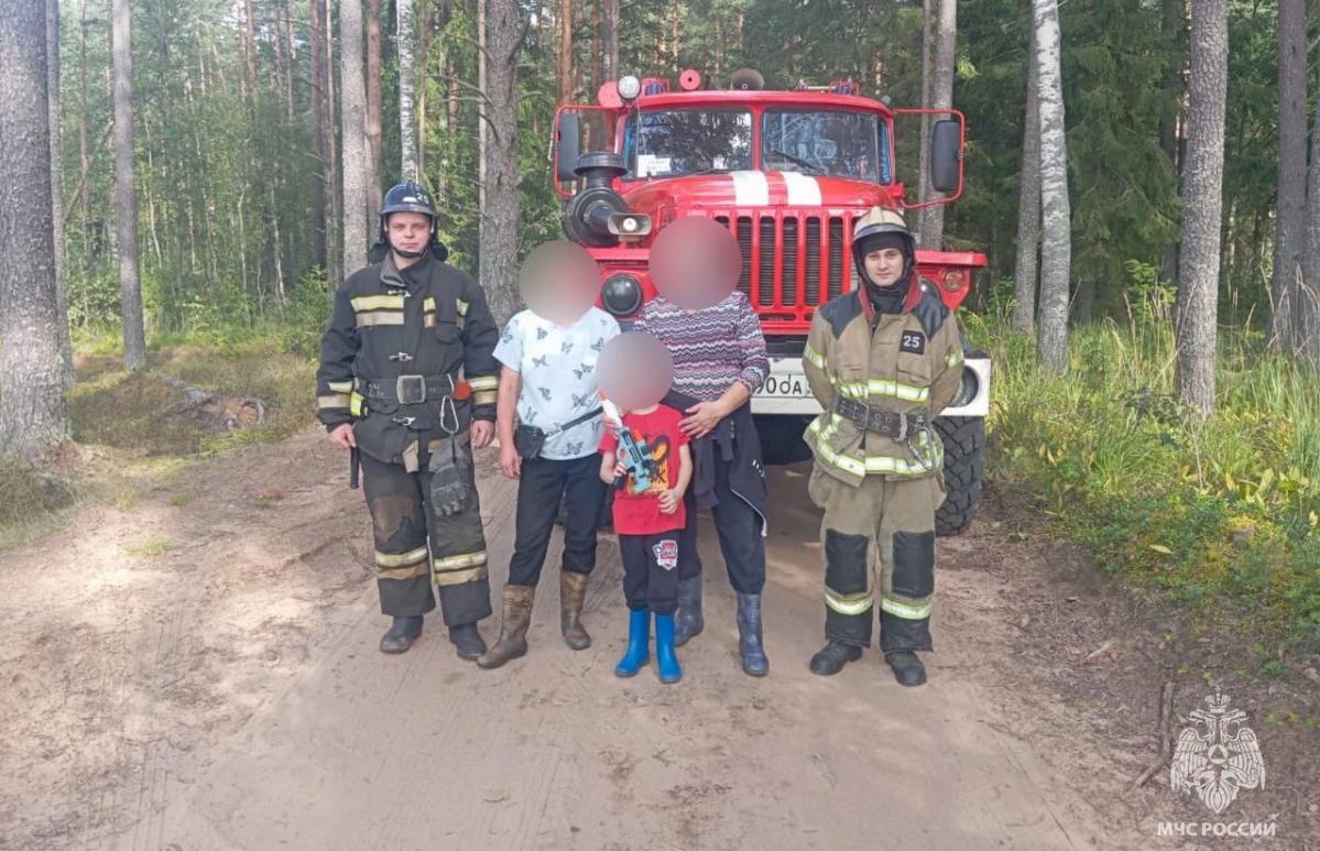 В лесах Тверской области за сутки потерялись девять грибников - новости Афанасий
