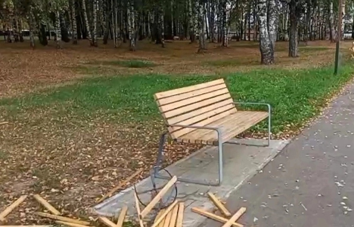 Вандалы в Весьегонске разгромили  урны в Приморском парке Фото: скрин с видео
Видео: Весьегонский муниципальный округ