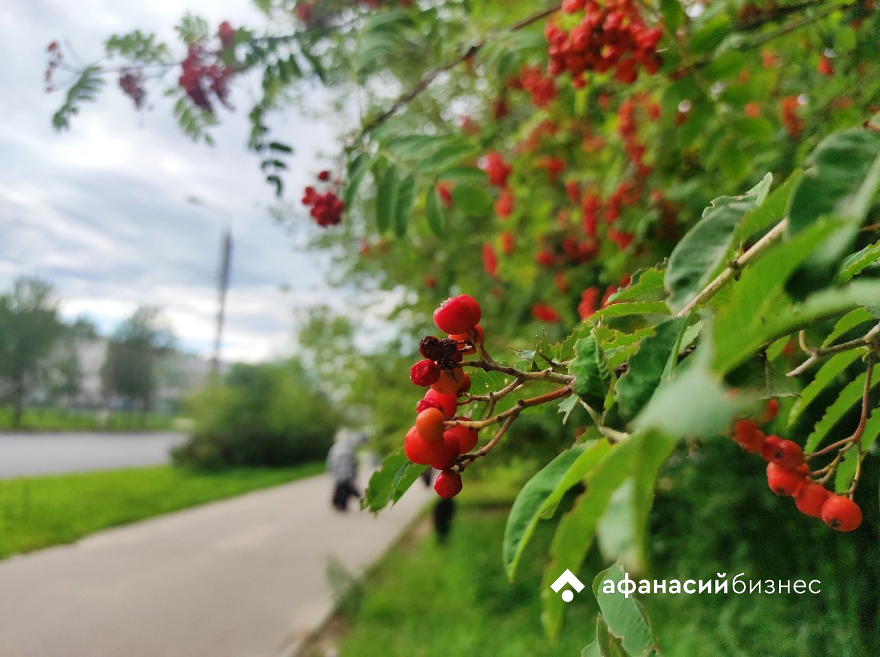 По прогнозу погоды в Твери после неправильного бабьего лета наступит правильное Фото: Afanasy.biz
