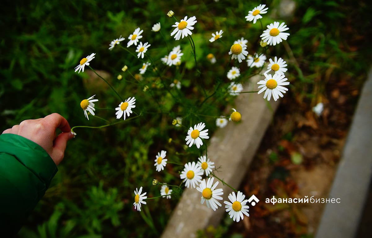 Погода в Твери сегодня: какой Лаврентий, такой и будет вся осень Фото: Afanasy.biz