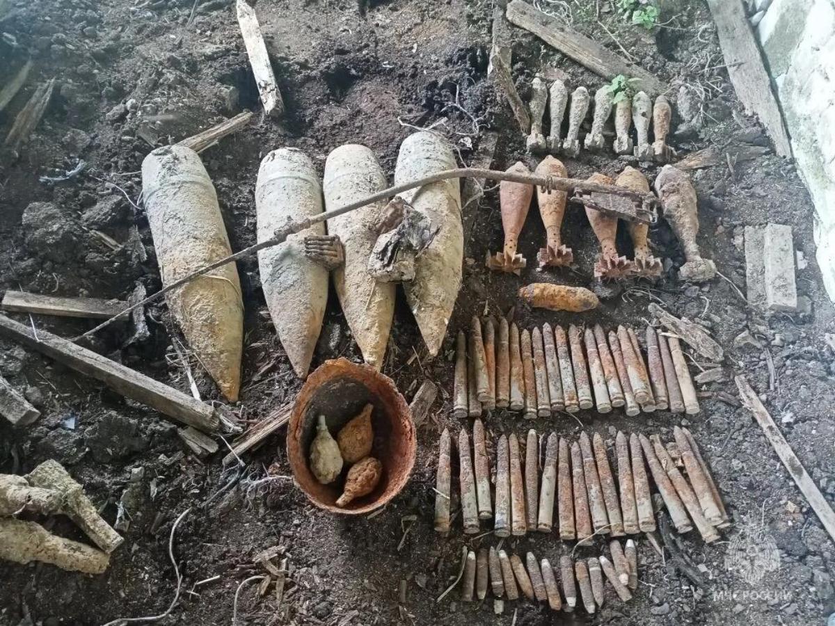 83 боеприпаса времен войны обезвредили в Тверской области Фото: МЧС