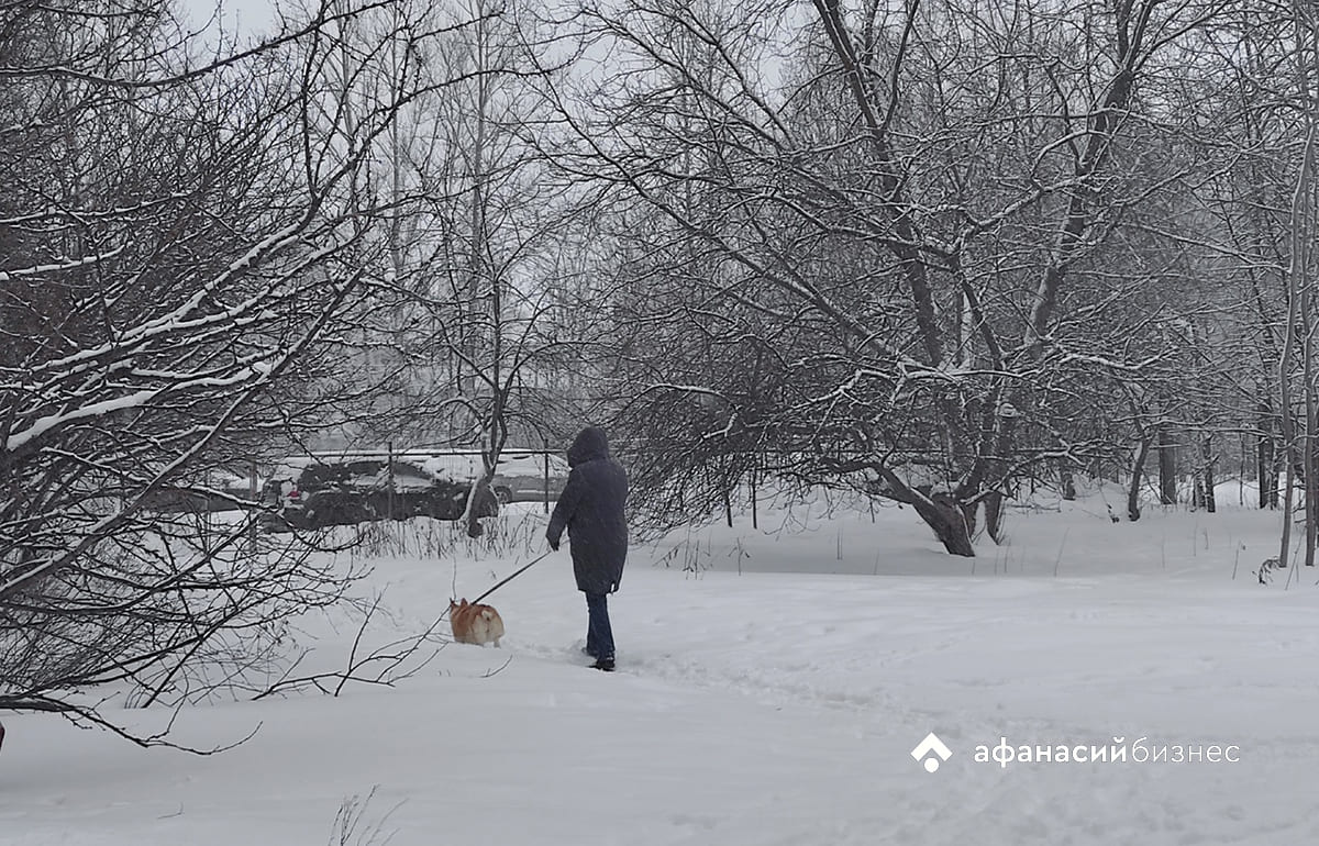 Температура в Твери вернулась к климатической норме Фото: архив редакции