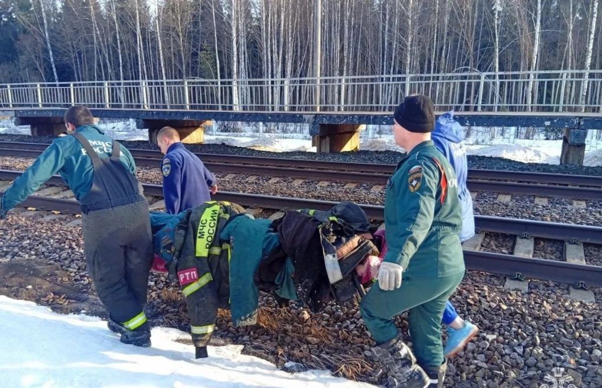 В Тверской области спасли из леса мужчину с обморожением - новости Афанасий