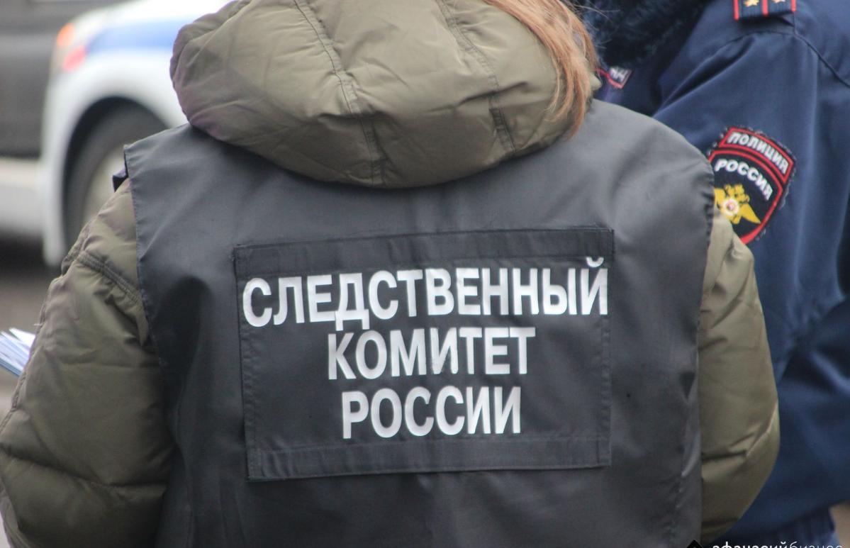 Бастрыкин взял на контроль дело о нападении алабая на тверскую школьницу - новости Афанасий