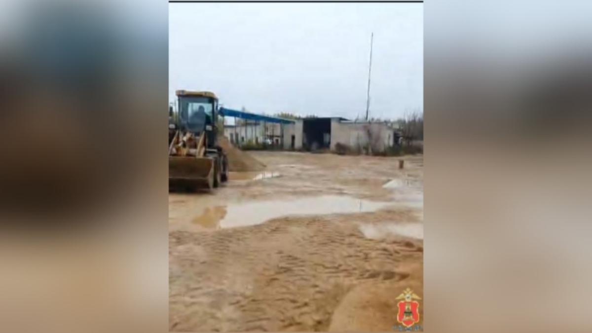 На предприятии в Твери незаконно трудились четверо мигрантов Фото: УМВД Тверской области