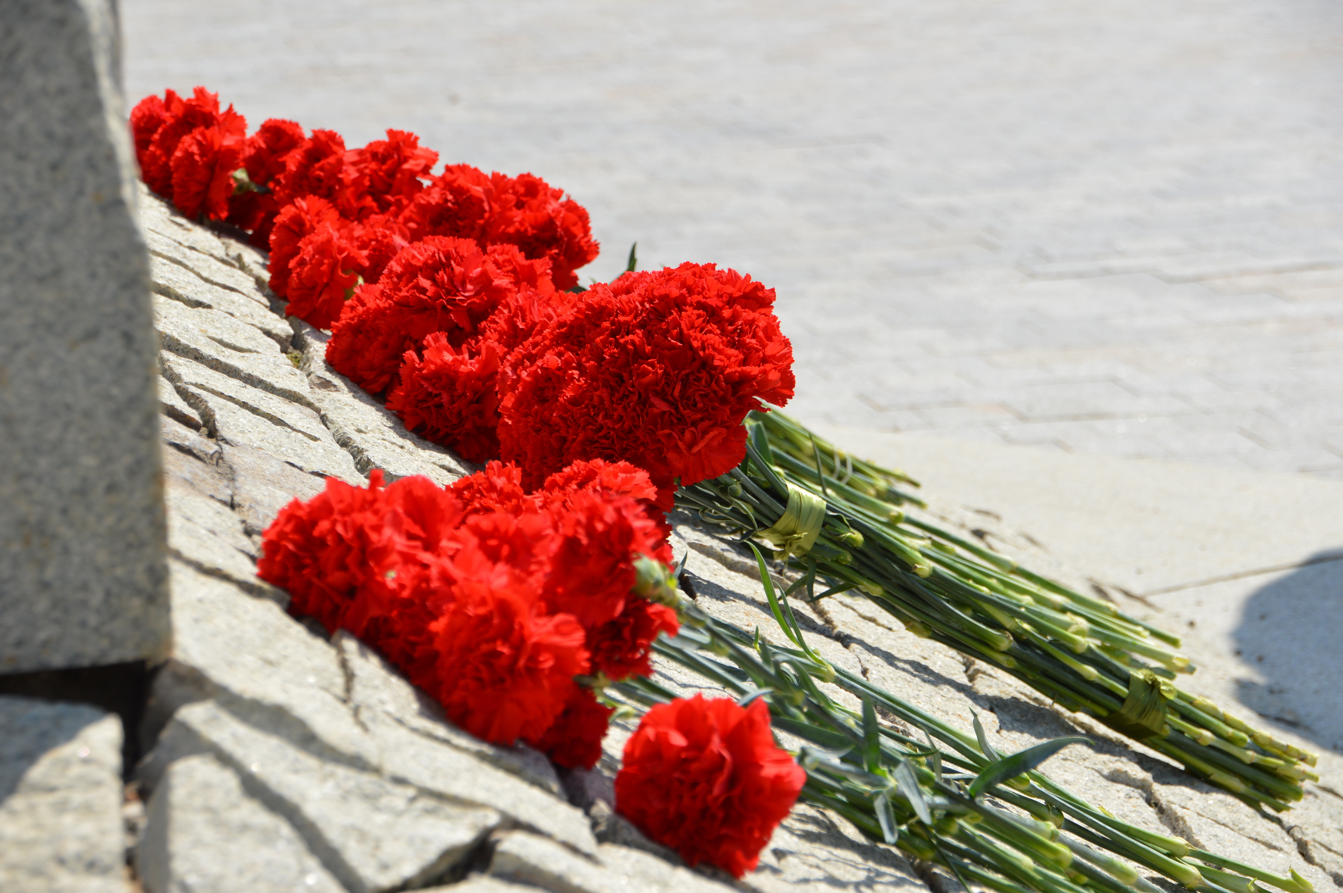 С участником СВО Антоном Худяковым простятся в Конаково - новости Афанасий