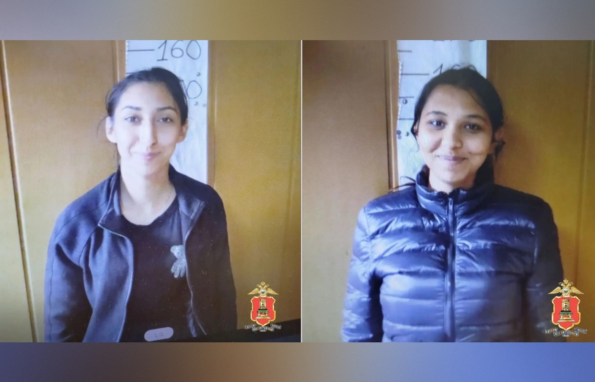 В Максатихе замерзавшие женщины похищали у соседей дрова Фото: УМВД Тверской области