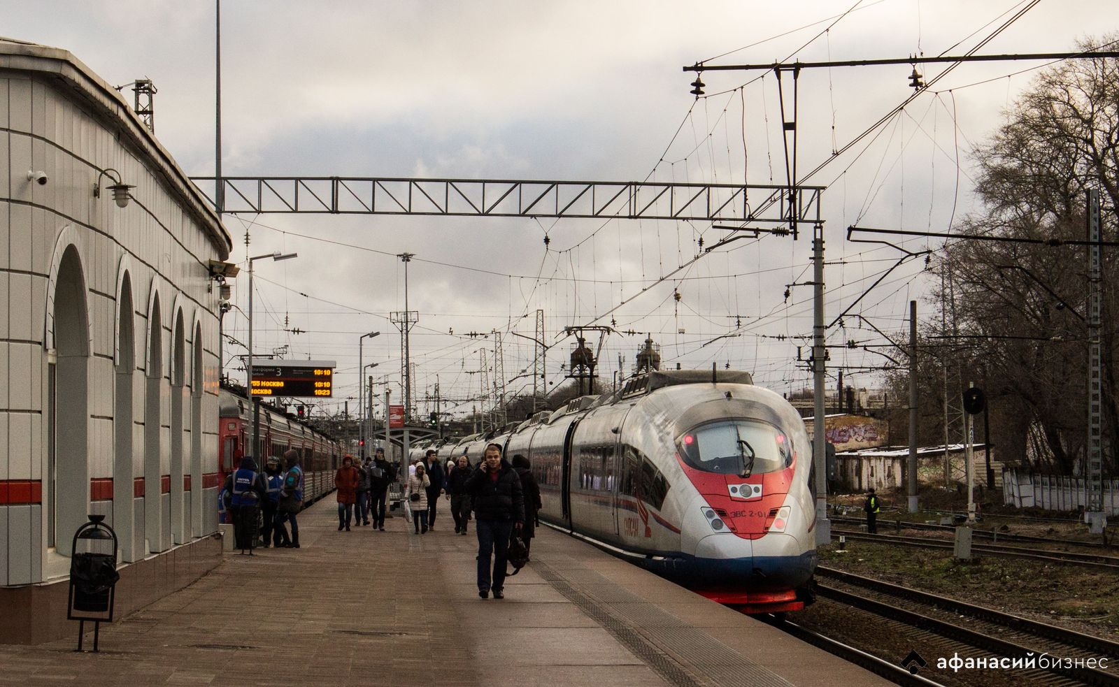 Под Вышним Волочком в Тверской области «Сапсан» сбил лося Фото: архив редакции