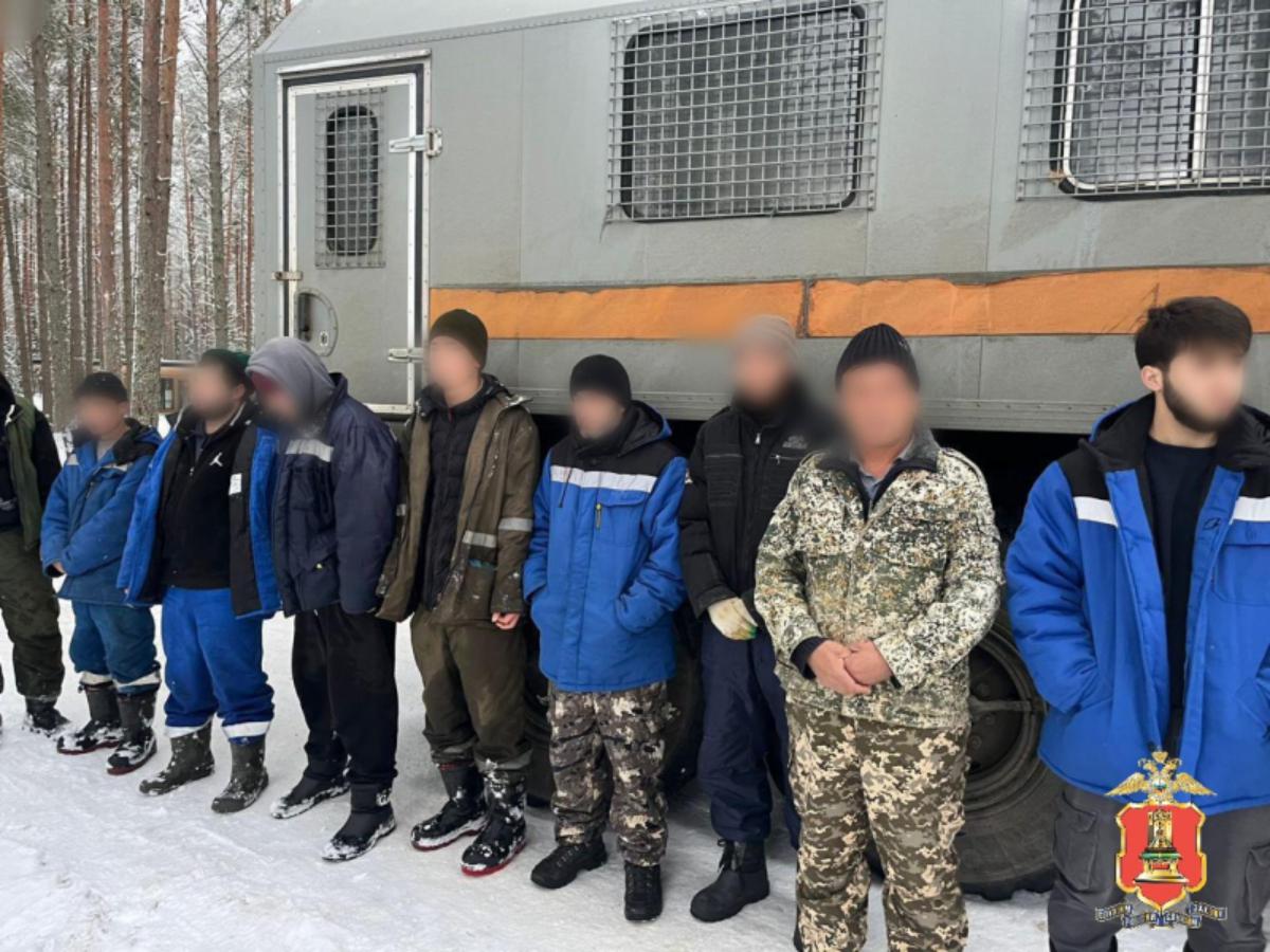 На стройках в Тверской области нашли мигрантов-нелегалов Фото: УМВД Тверской области