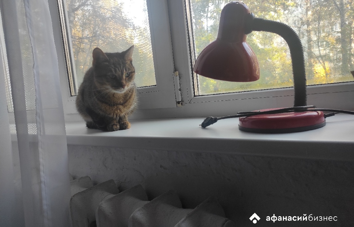 В Твери из-за ремонта не будет отопления на улицах Громова и Гайдара Фото: архив редакции