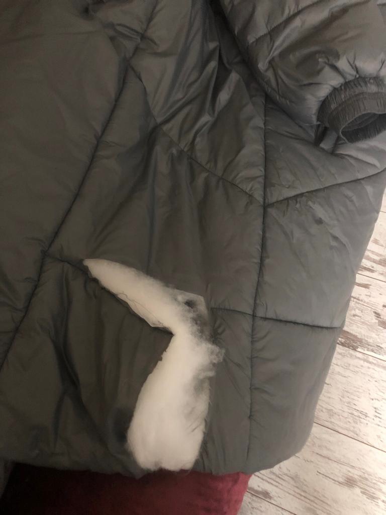 В центре Твери собаки нападают на людей и домашних животных 