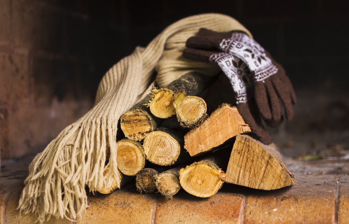 В Нелидовском районе суд обязал администрацию построить сарай для хранения дров - новости Афанасий