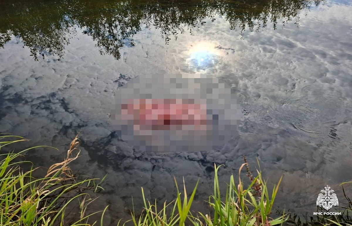 Из реки Жабня в Калязинском районе достали тело мужчины Фото: МЧС по Тверской области