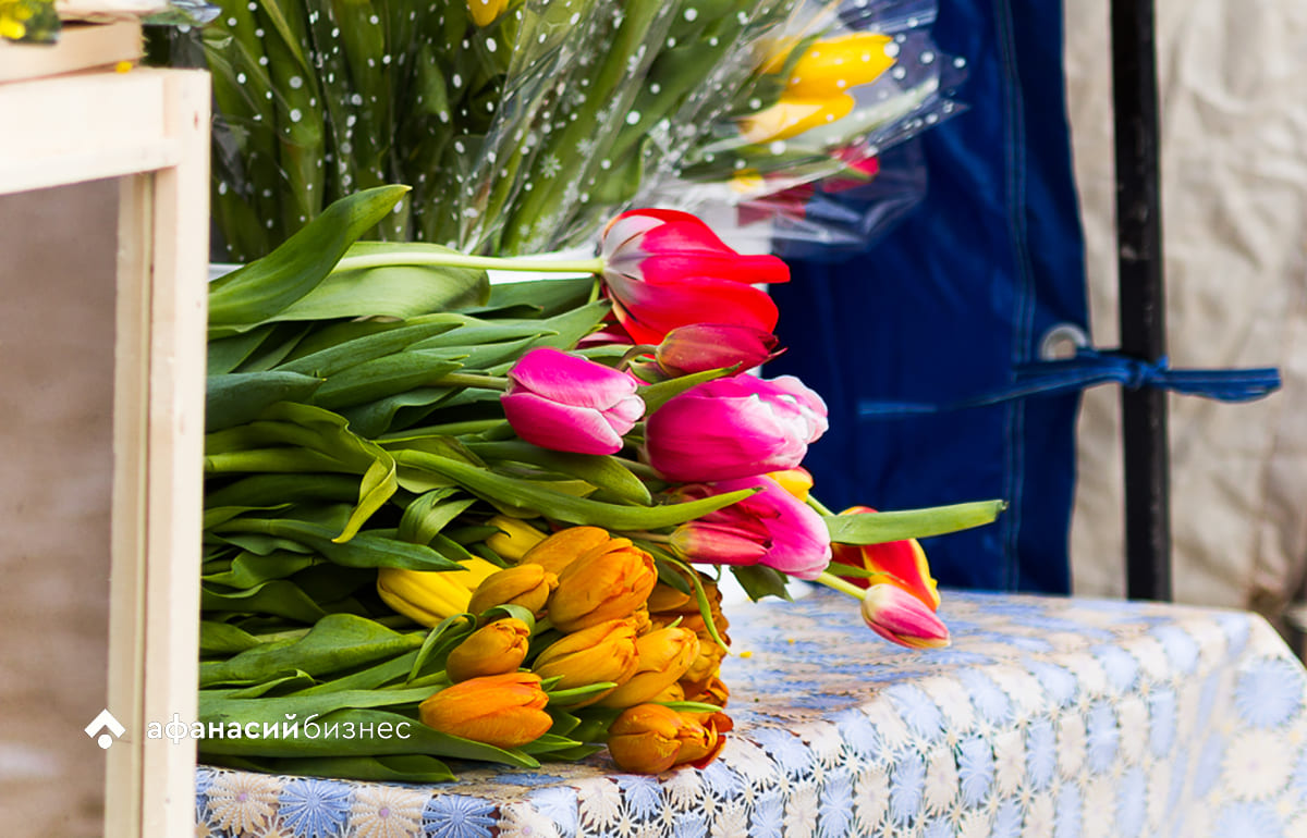 Погода в Твери сегодня: 8 Марта с хорошим плюсом Фото: Afanasy.biz