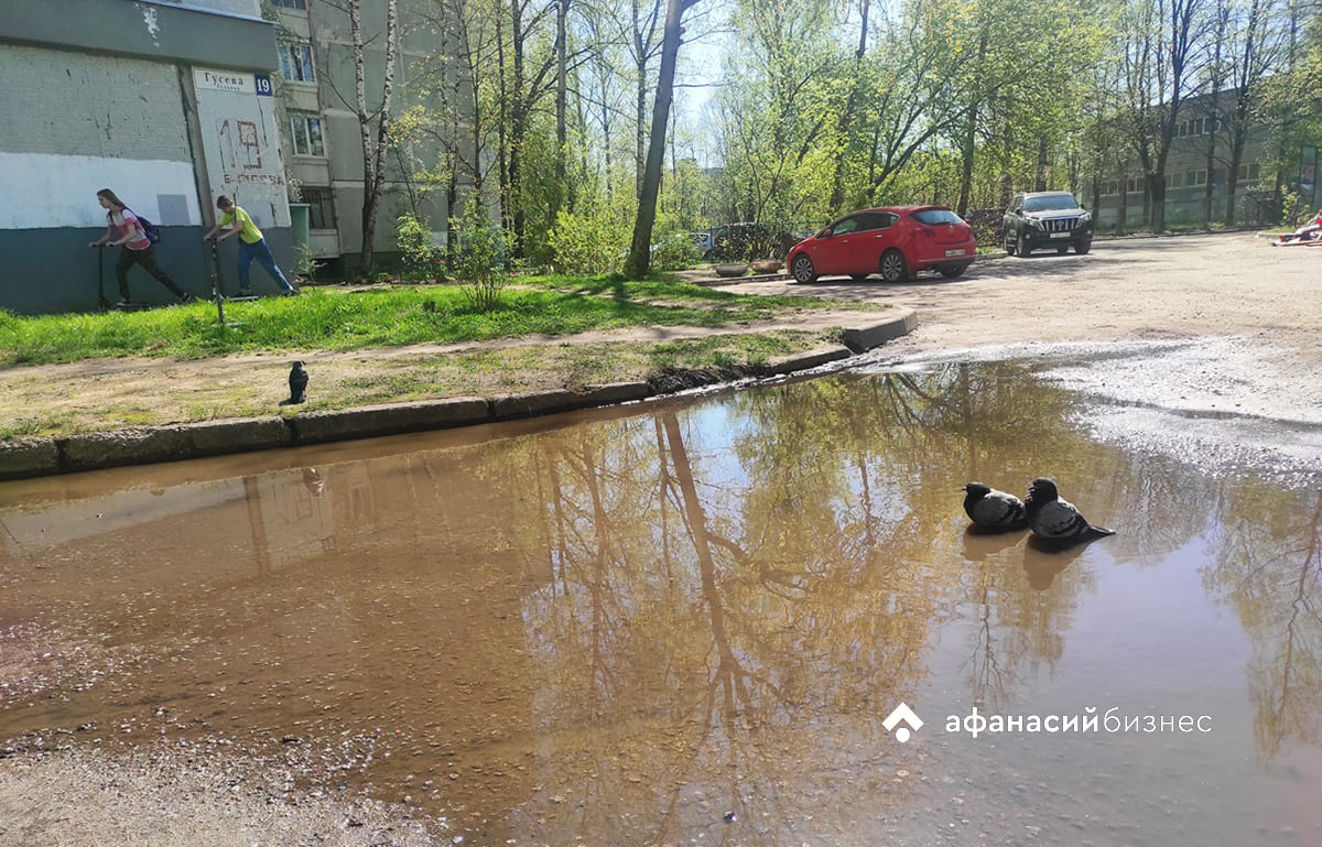 В Твери сегодня ожидается самый жаркий день недели 