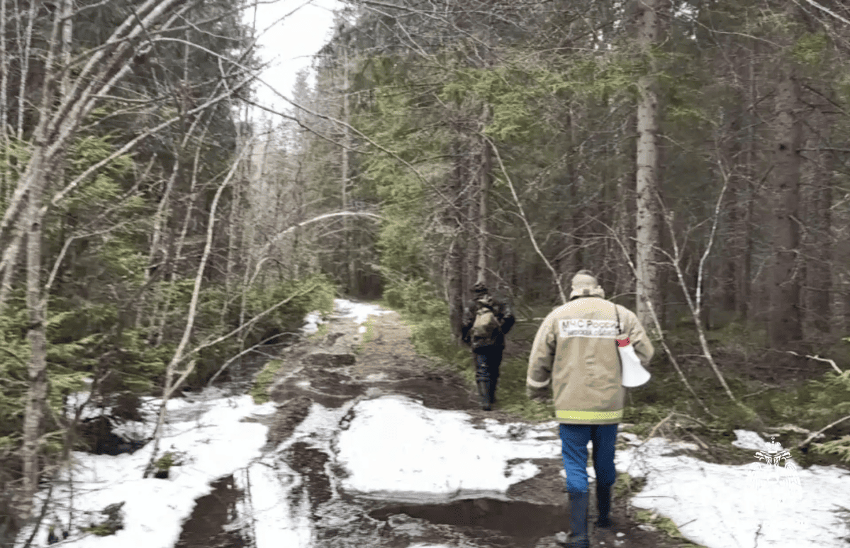 Под Жарками в Тверской области женщина пошла за клюквой и потерялась - новости Афанасий