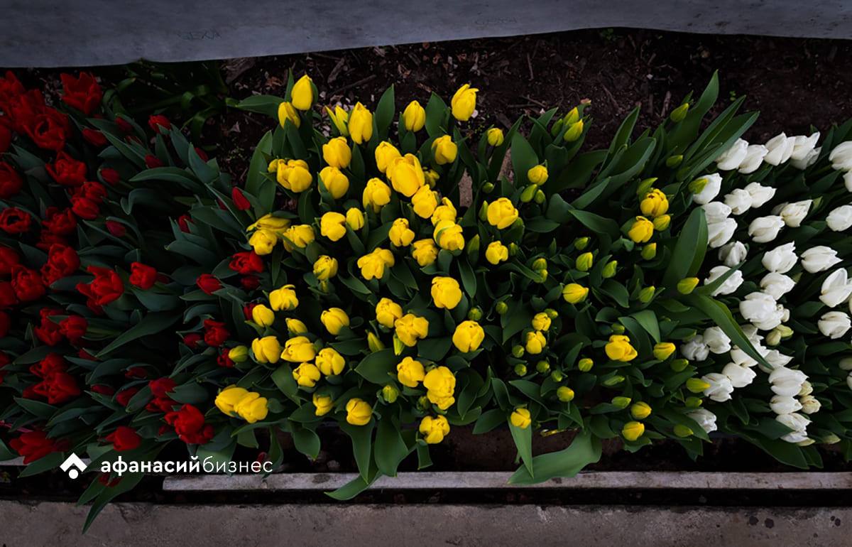 Сотрудники полиции Верхневолжья в рамках акции «8 Марта – в каждый дом» поздравили женщин-ветеранов и навестили семьи своих коллег - новости Афанасий