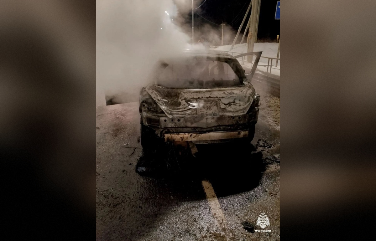 На М9 в Тверской области сгорел автомобиль Фото: МЧС