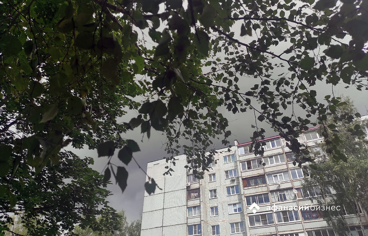 Энергетики продолжают работать в режиме повышенной готовности из-за прогнозируемого усиления ветра  - новости Афанасий