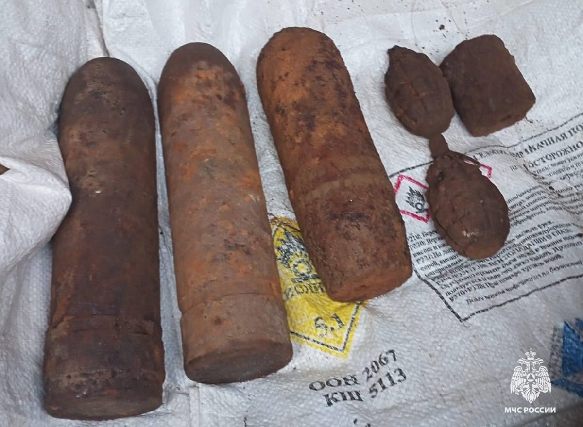 Гранаты и авиабомбы были найдены в Бологовском районе - новости Афанасий