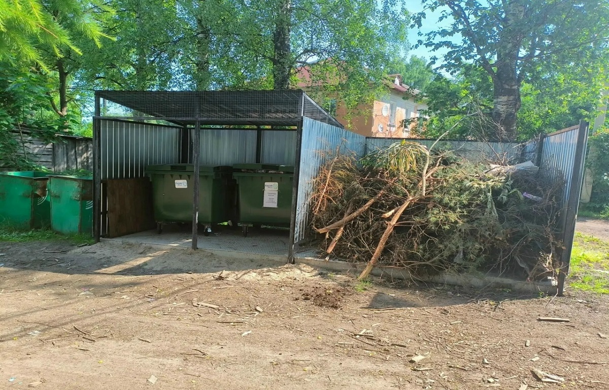 Жителям Тверской области напоминают, деревья и траву кидать в мусорки нельзя Фото: ТСАХ