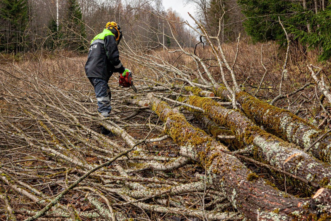Тверские энергетики завершили ремонтные работы в Западнодвинском муниципальном округе Фото: Диана Журавлева