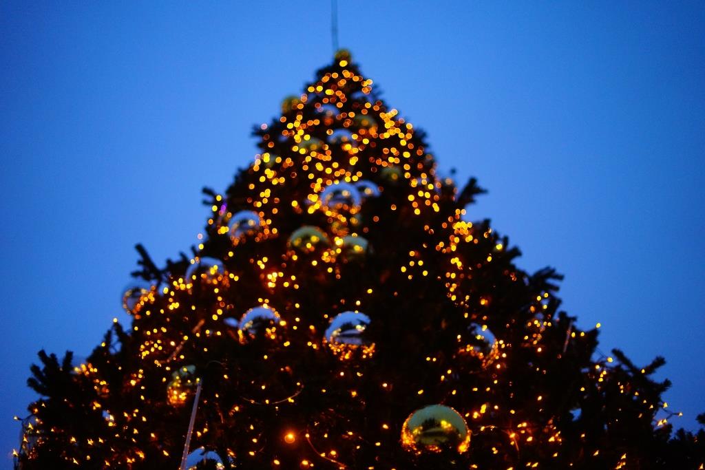 Центр Твери к Новому году украсят две сосны и 16 фигур 