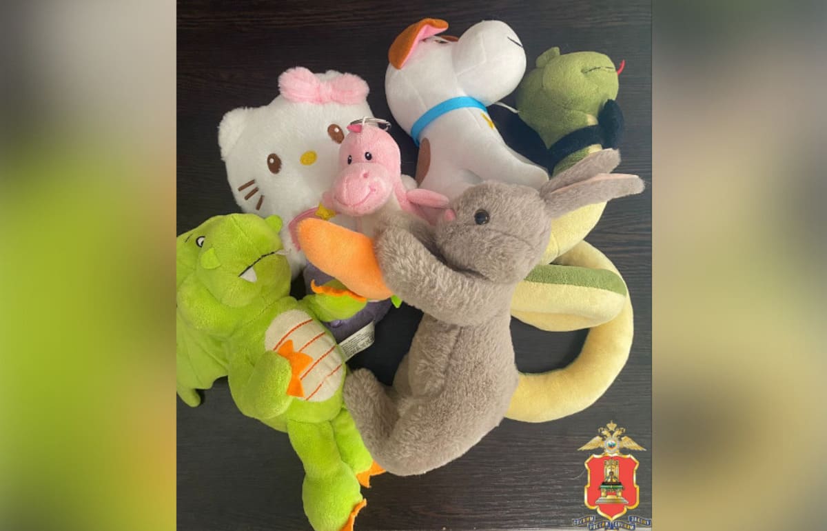 В Удомле «плюшевого воришку» задержали за серию краж из автоматов с игрушками Фото: УМВД России по Тверской области