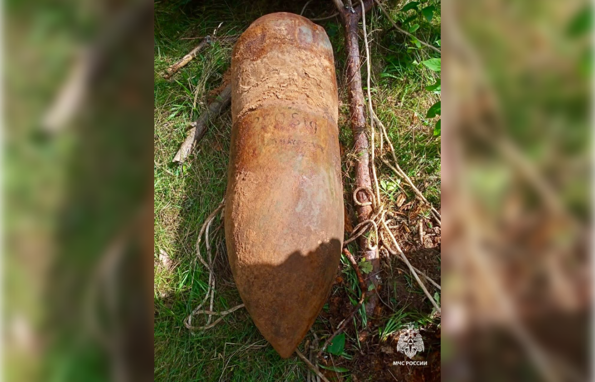 В Тверской области обезвредили боевые снаряды времен войны - новости Афанасий