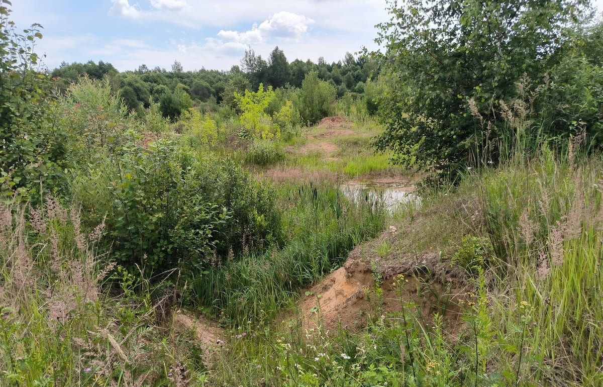 В Тверской области оштрафованный землевладелец отказался от 27 га сельхозугодий Фото: Россельхознадзор