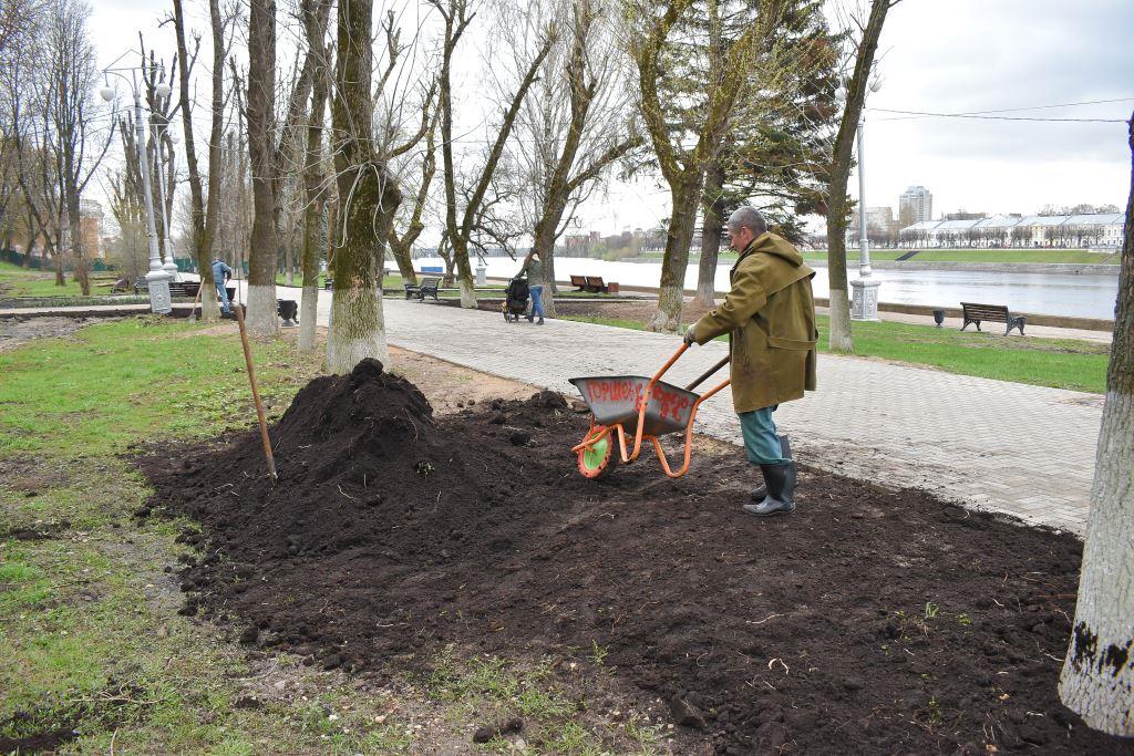 В Твери убирают скверы и высаживают цветы - новости Афанасий