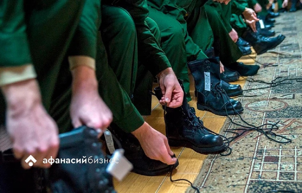 Минтруд предлагает вместо армии послужить конюхами или дезинфекторами - новости Афанасий