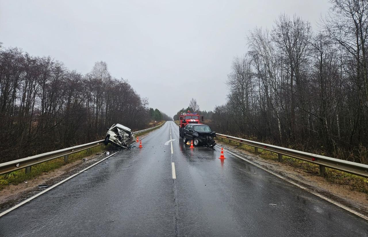 Причиной смертельного ДТП под Торжком 1 ноября стал опасный обгон Фото: ГАИ