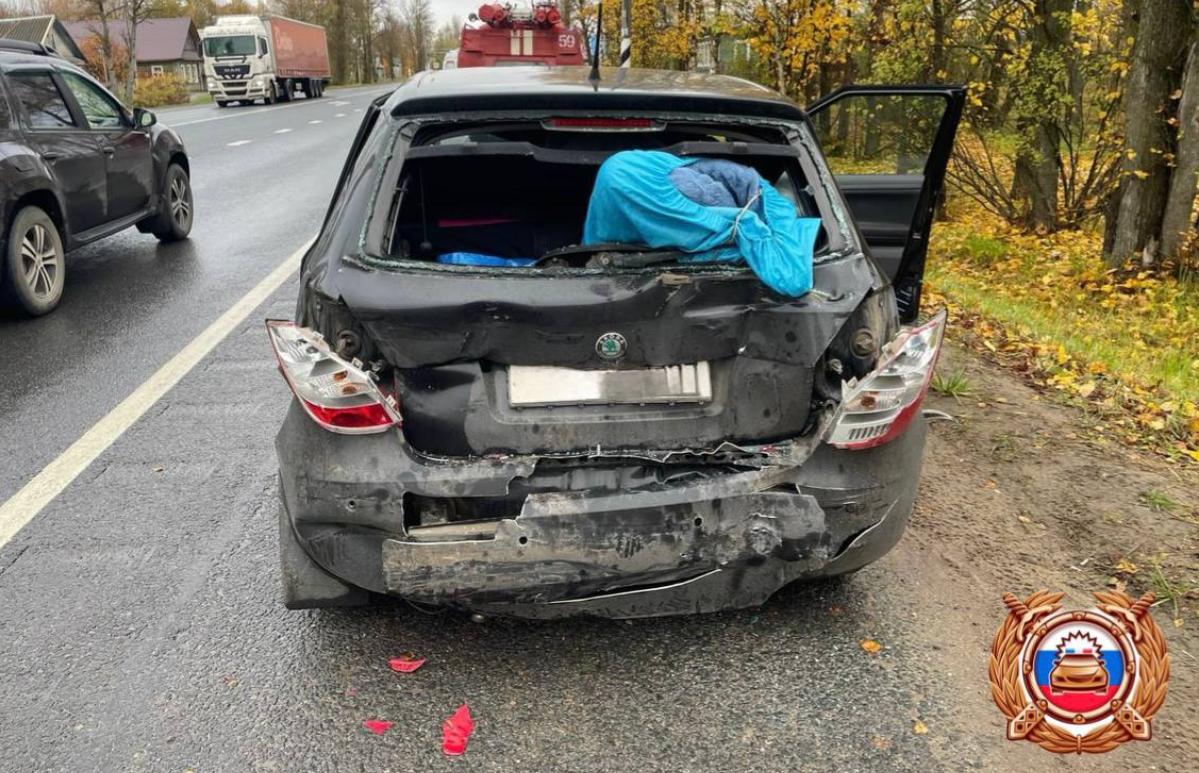 Два человека пострадали в ДТП на М10 под Торжком - новости Афанасий