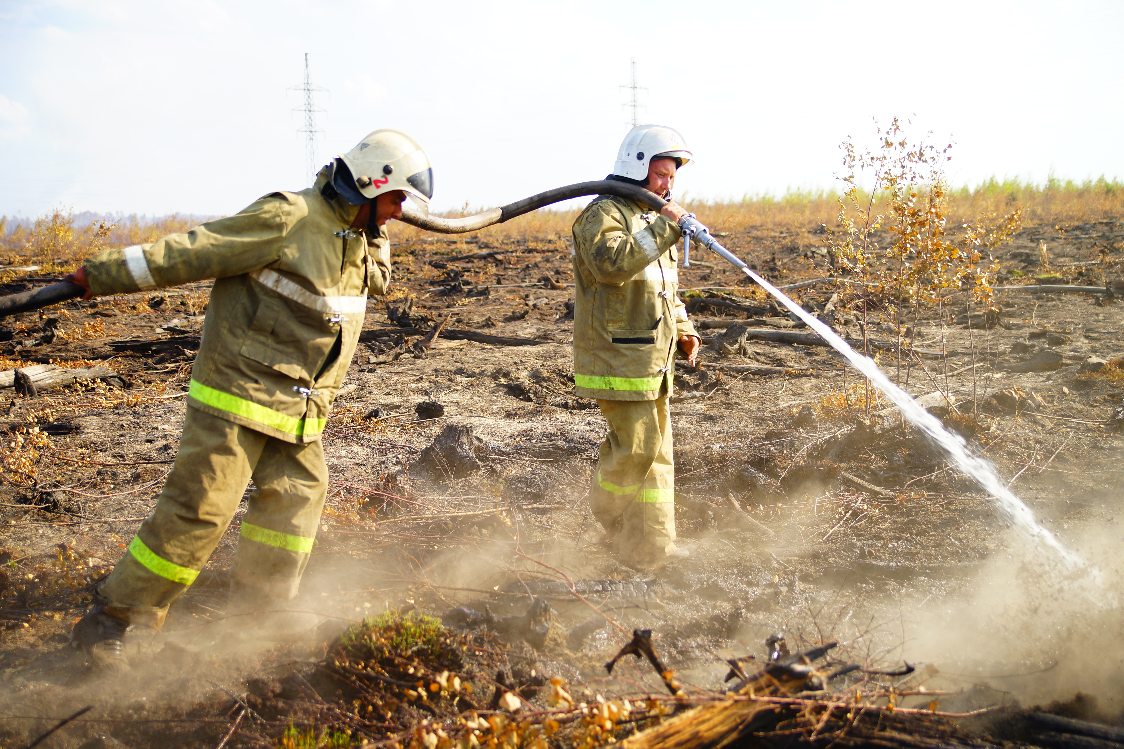 В Тверской области за сутки свыше 4 га сгорело из-за палов сухой травы - новости Афанасий