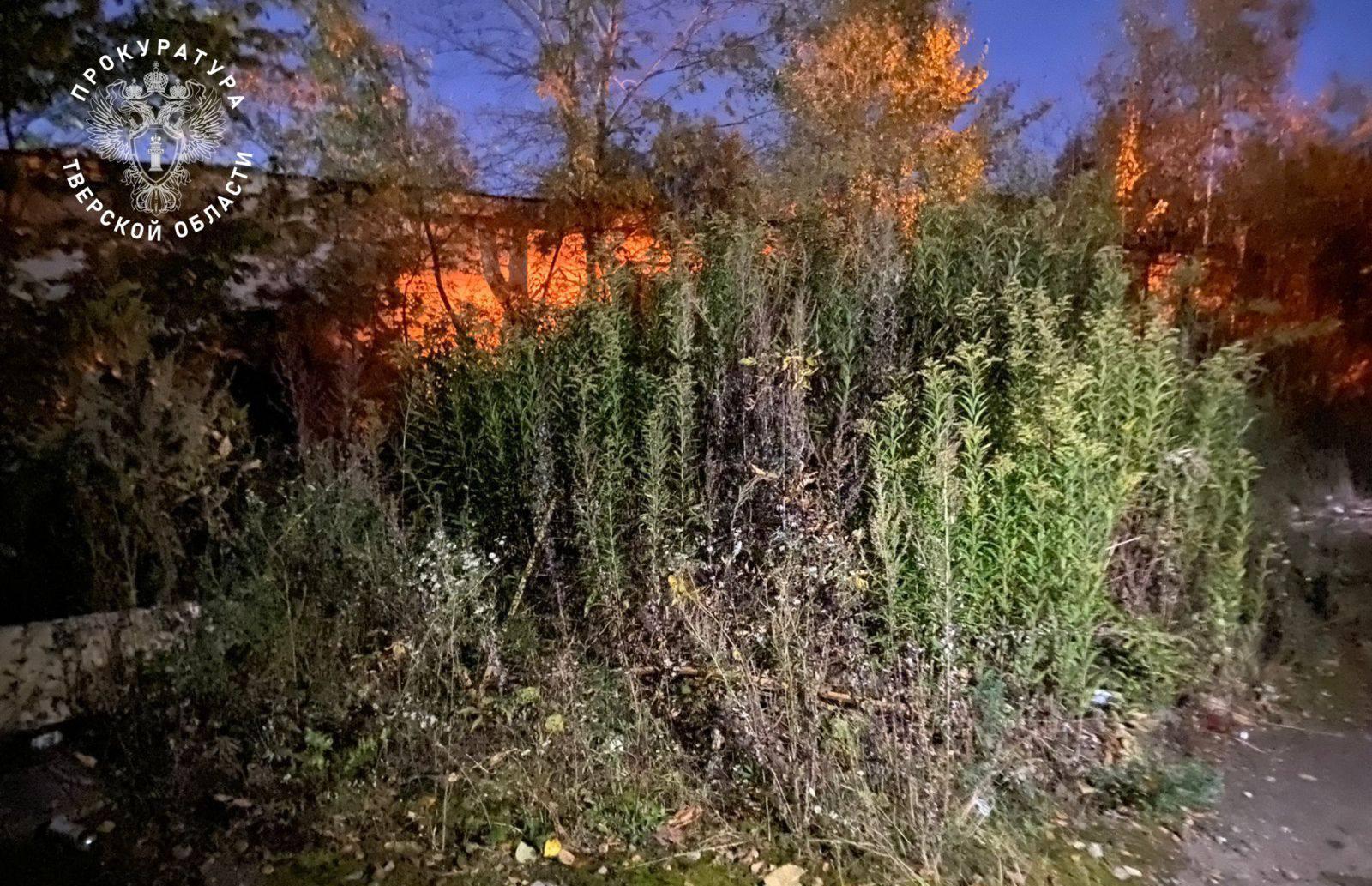 В Твери по факту гибели подростка на Коминтерна возбуждено уголовное дело - новости Афанасий