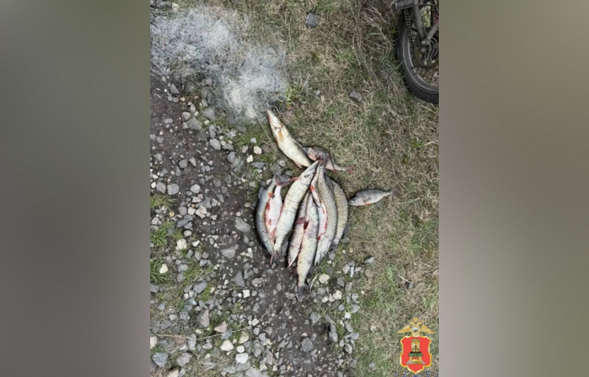 Рыбалка в Завидово закончилась для браконьеров уголовным делом Фото: УМВД России по Тверской области